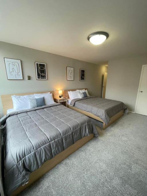 Charming Apartment At Crystal City With Amazing Amenities Arlington Ngoại thất bức ảnh